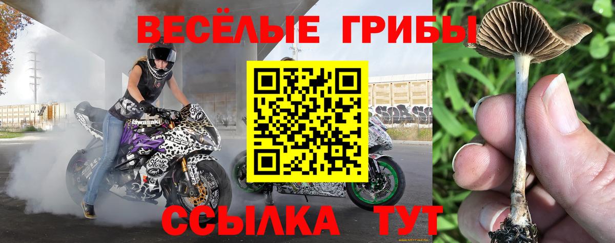 Галлюциногенные грибы прущие грибы Рузаевка