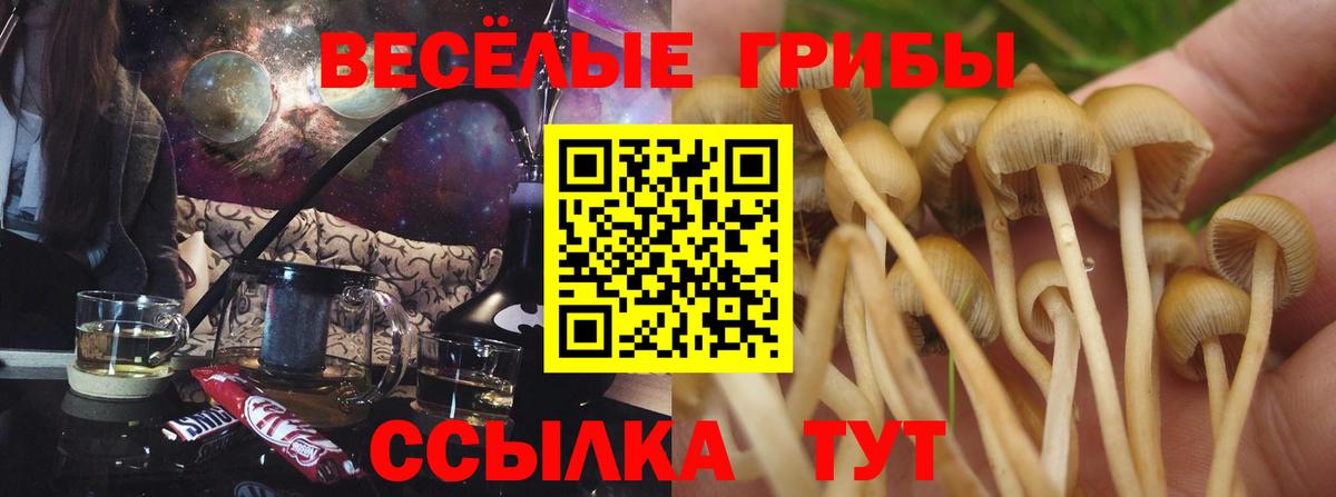 Галлюциногенные грибы MAGIC MUSHROOMS  Вход с VPN  Рузаевка  Псилоцибиновые грибы мицелий 